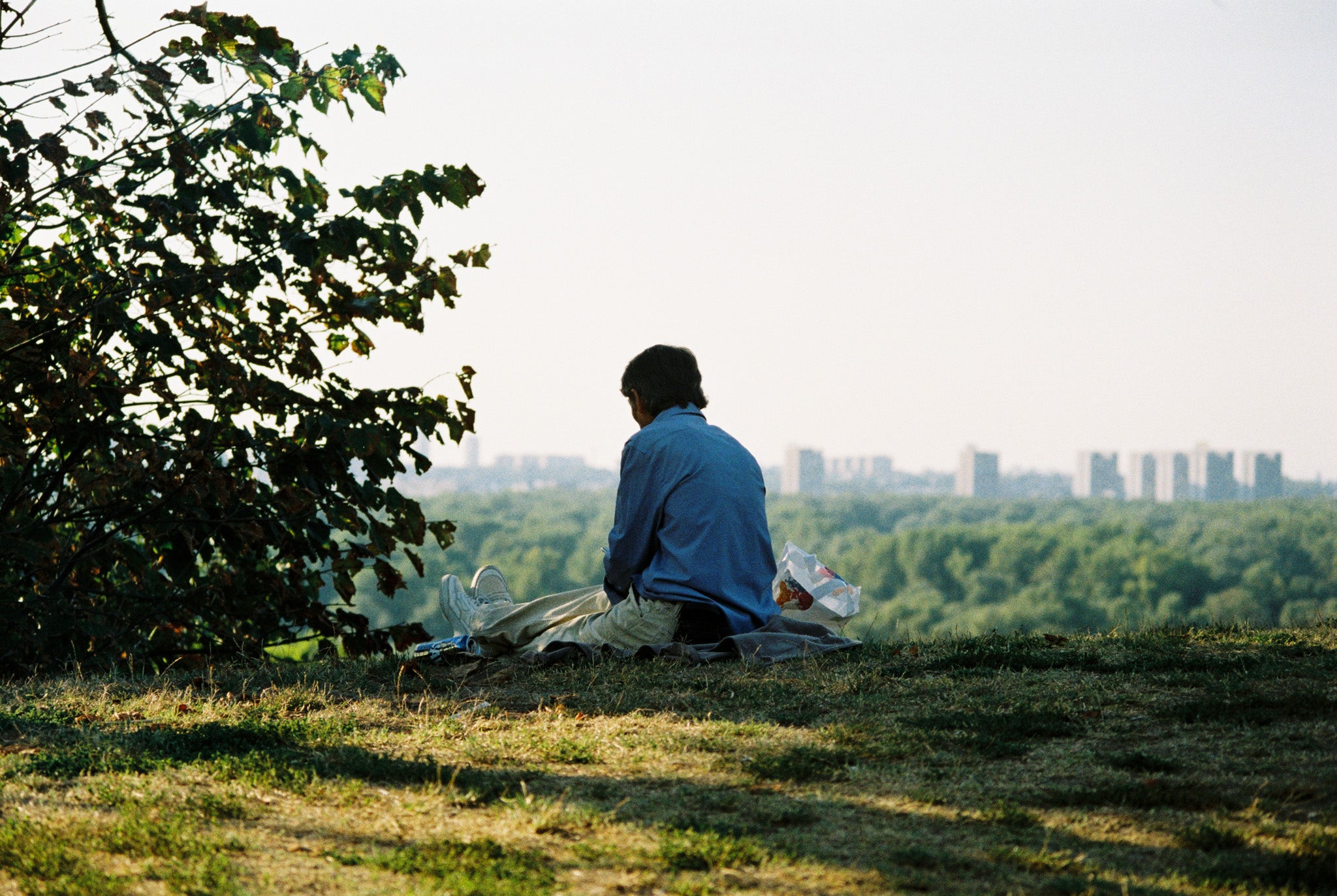 A person sitting on grass besides a bush with a city skyline on the background. Kodak Gold 200.