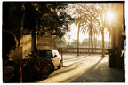 A person, bicycles and a car in the foreground and palm trees with sun on the background. Kodak Gold 200.