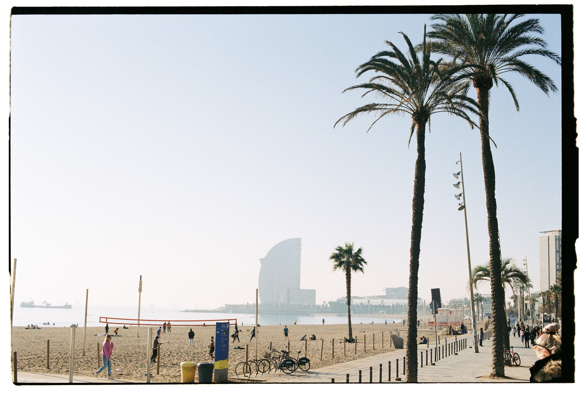 A beach with sea and buildings on the horizon and palm trees in the foreground. Kodak Gold 200.