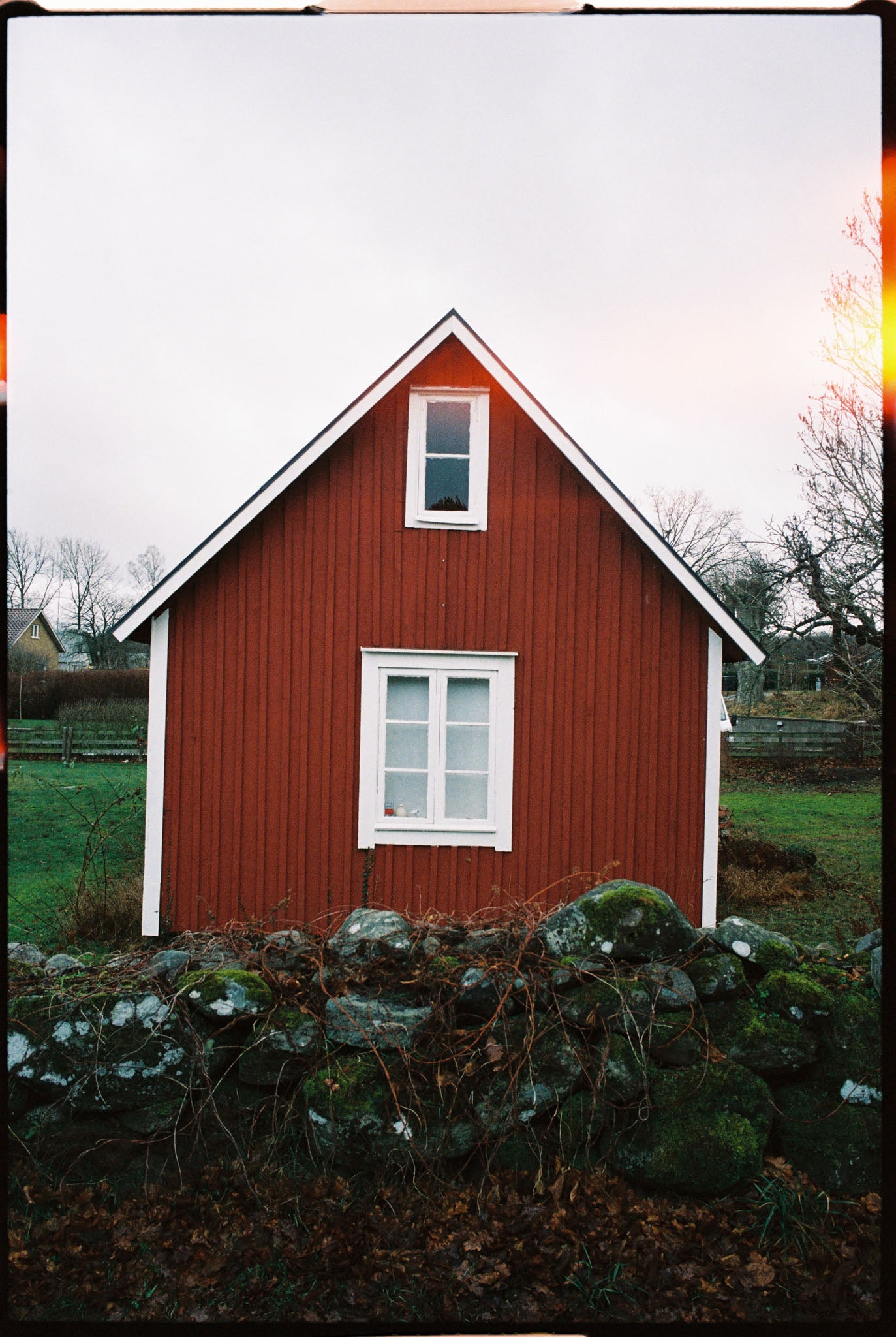 SantaColor 800 (35mm) 36 Exp.