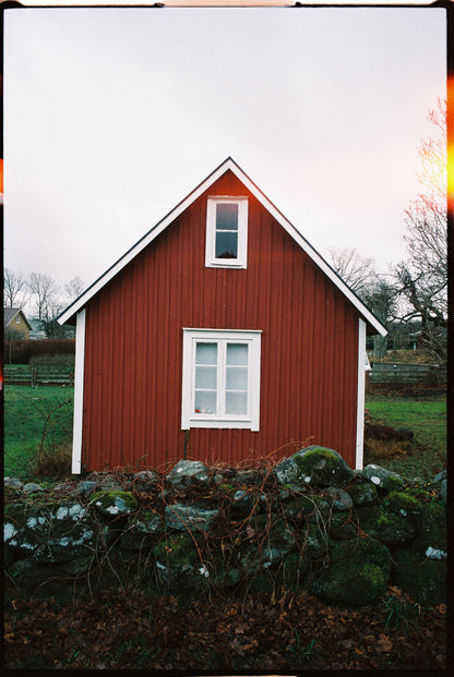 SantaColor 800 (35mm) 36 Exp.