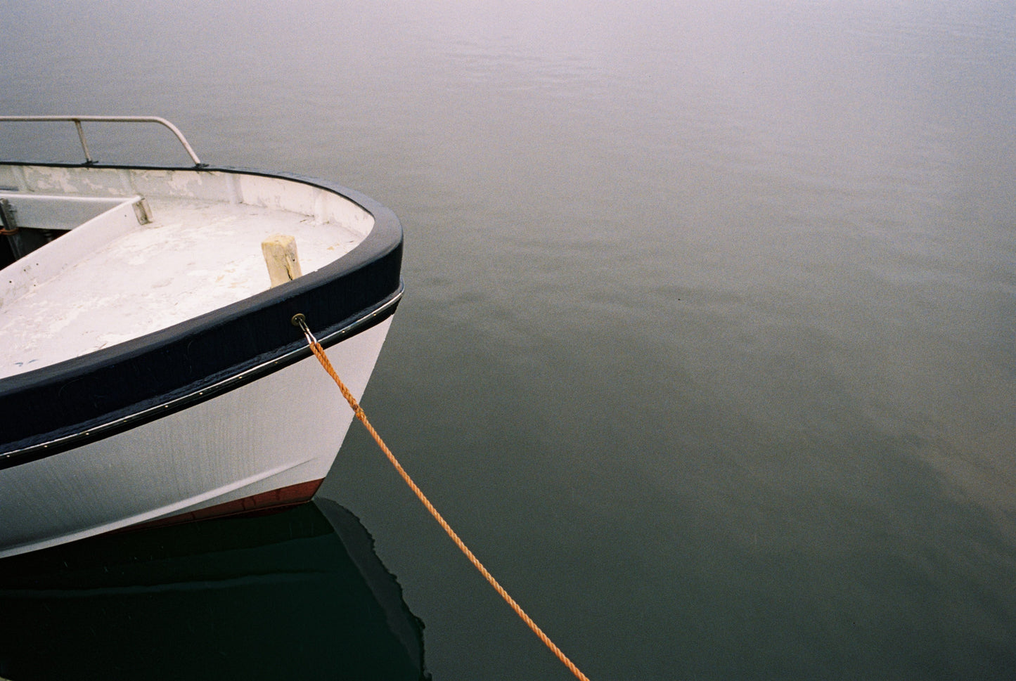 SantaColor 800 (35mm) 36 Exp.