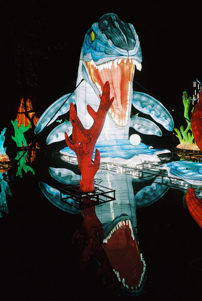 SantaColor 800 (35mm) 36 Exp.