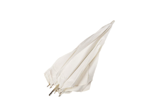 Generic Translucent Umbrella - Accessory