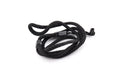 Olympus Mju Strap - Accessory