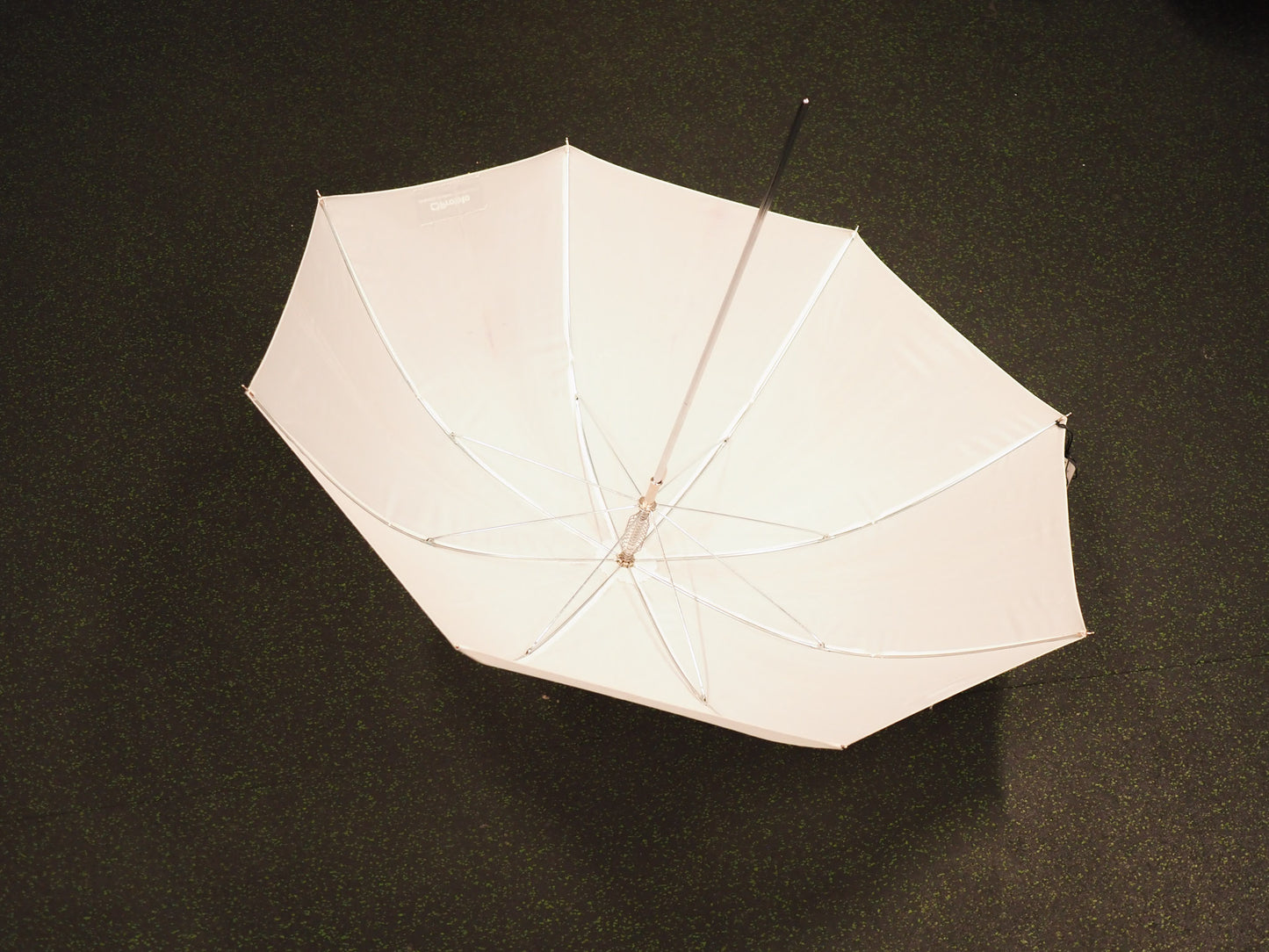 Profoto Shallow Translucent Umbrella S - Accessory