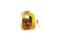 Nissin Synchro Eye - Accessory